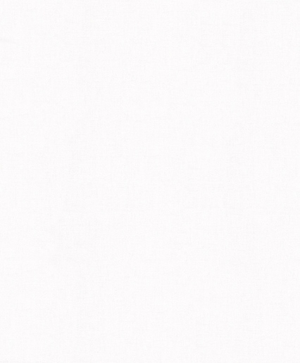 Marburger Tapete 31836 10,05 x 0,53 m Schöner Wohnen 2024